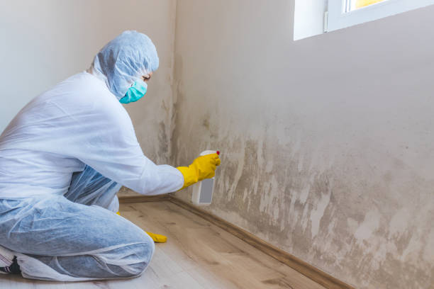 Bathroom Mold Removal assessment in Roaring Spring bathroom