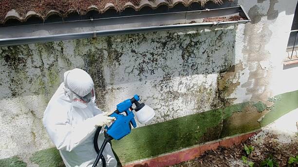 Clearance testing in Roaring Spring
